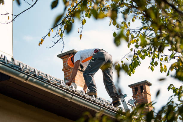 Best Rubber Roofing (EPDM, TPO)  in Clanton, AL